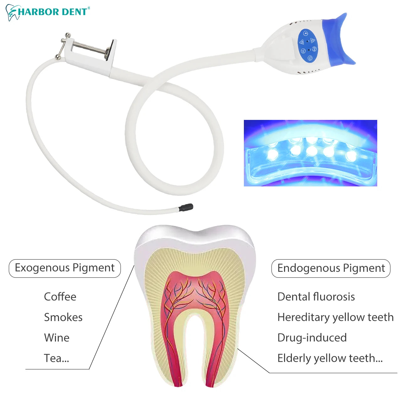 Dental Teeth Whitening Lamp Accelerator Portable LED Cold Light Teeth Bleaching Machine Desk Teeth Whitening Light Lamp